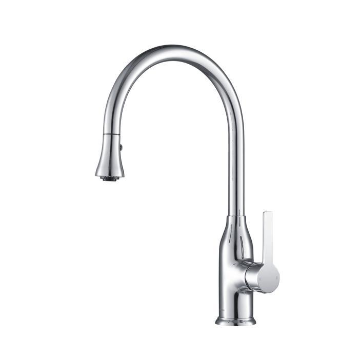 Everton Kitchen Faucet Gooseneck Single Lever Mixer in Chrome