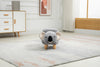Grey Koala Animal Storage Ottoman with Wood Legs