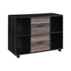 2-Drawer 39in. W File Cabinet for Home Office, Mobile Lateral Filing Cabinet, Printer Stand with Open Storage Shelves for Kids Room
