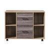 2-Drawer 39in. W File Cabinet for Home Office, Mobile Lateral Filing Cabinet, Printer Stand with Open Storage Shelves for Kids Room