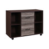 2-Drawer 39in. W File Cabinet for Home Office, Mobile Lateral Filing Cabinet, Printer Stand with Open Storage Shelves for Kids Room