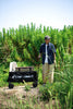 EchoSmile 4.54 cu. ft. Fabric Portable Garden Cart with Adjustable Rolling Wheels in Black