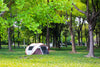 EchoSmile 4-Person Pop Up Camping Tent