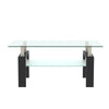 Tansole 38.6 in. Black Rectangle Glass Coffee Table With 2 Tier Storage Space