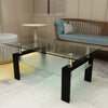 Tansole 38.6 in. Black Rectangle Glass Coffee Table With 2 Tier Storage Space