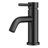 Camile Single Handle Lavatory Faucet with Drain Kit Included