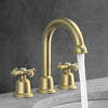 Widespread Bathroom Faucet with Drain Kit Included