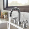 Widespread Bathroom Faucet with Drain Kit Included