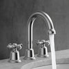 Widespread Bathroom Faucet with Drain Kit Included