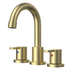 Widespread Bathroom Faucet with Drain Kit Included in Brushed Gold