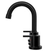 Widespread Bathroom Faucet with Drain Kit Included