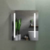 Erie Rectangular Silver Aluminum Recessed or Surface Mount LED Mirror Medicine Cabinet