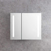 Erie Rectangular Silver Aluminum Recessed or Surface Mount LED Mirror Medicine Cabinet