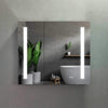 Erie Rectangular Silver Aluminum Recessed or Surface Mount LED Mirror Medicine Cabinet
