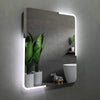Michigan Rectangular Frameless Anti-Fog Wall Bathroom LED Vanity Mirror in Silver