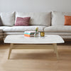 Laura 43" x 24" Rectangular Italian Carrara White Marble Coffee Table with Shelf
