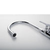 Everton Kitchen Faucet Gooseneck Single Lever Mixer in Chrome
